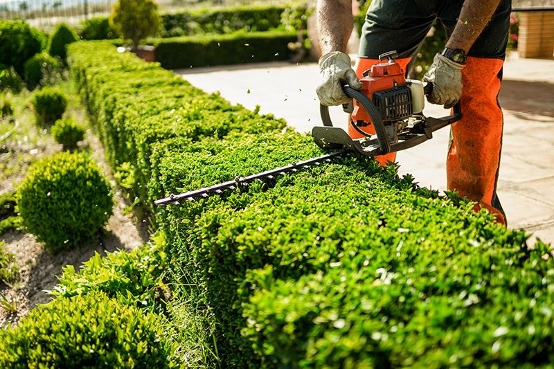 Entretien de jardin par un paysagiste Entretien de jardin par un paysagiste